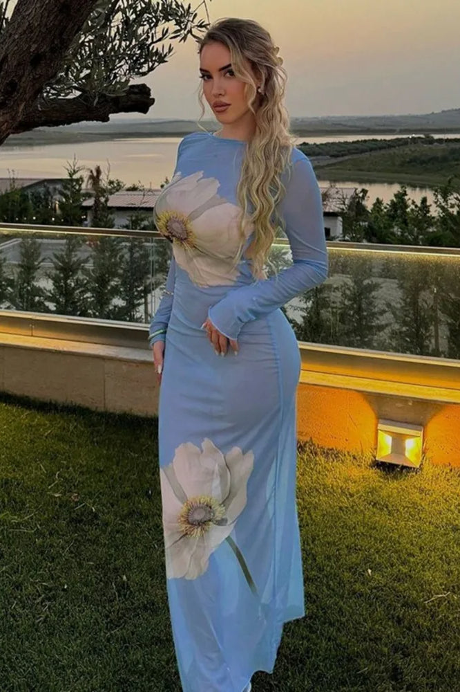 Mesh Print Lace Up See Through Backless Maxi Dress