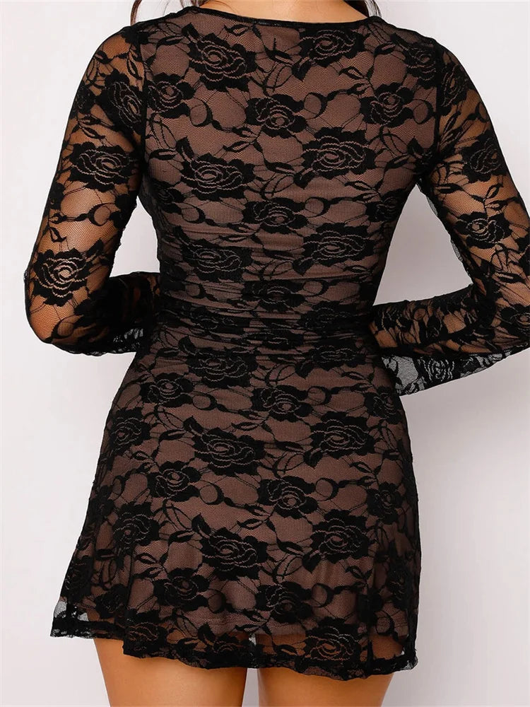Sensual Lace Vneck Mesh Mini Dresses