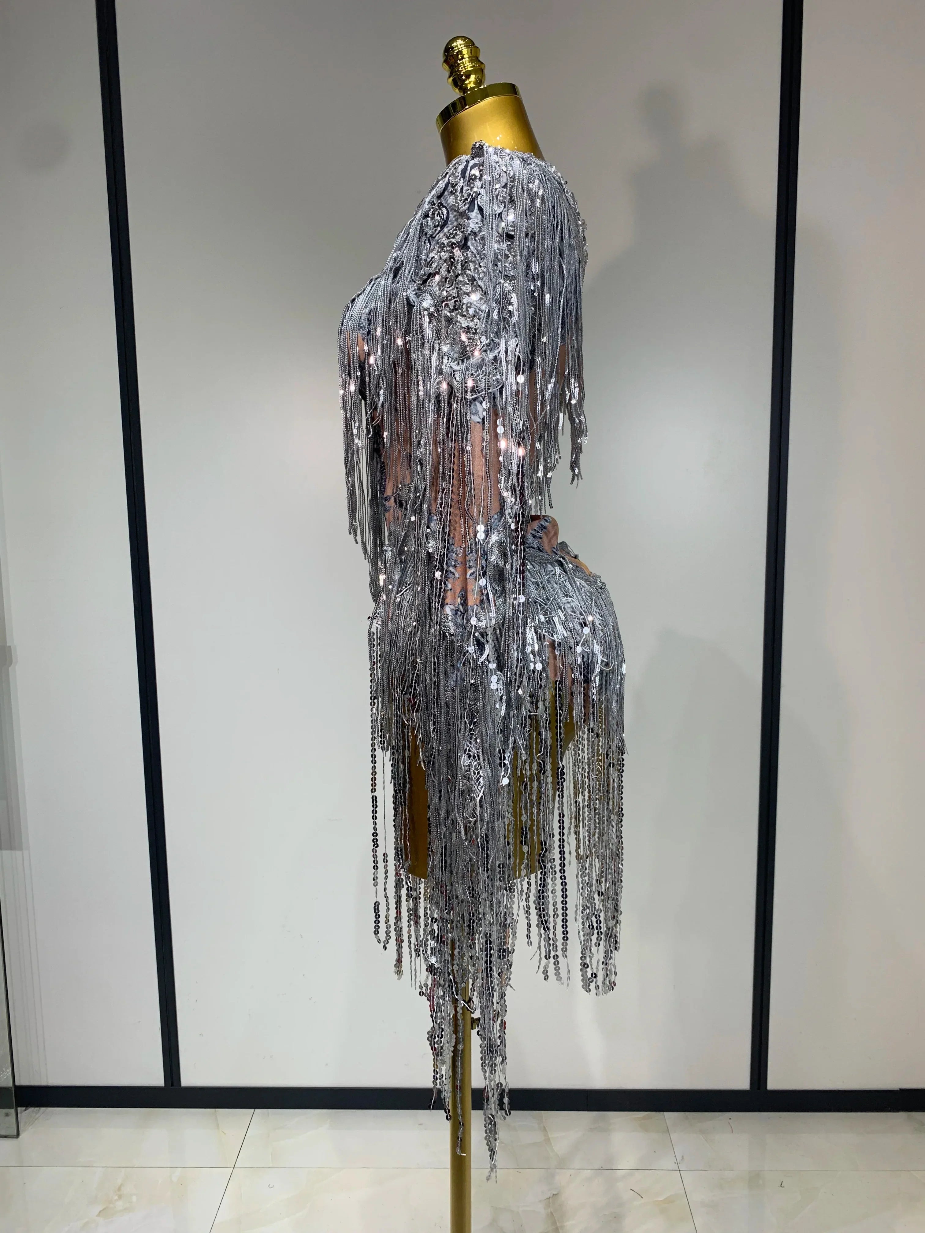 Sparkly Sequin Tassels Long Sleeve Silver Bodysuit Bar Women Singer Show Costume Celebrate Outfit Evening Dance Stage Outfit