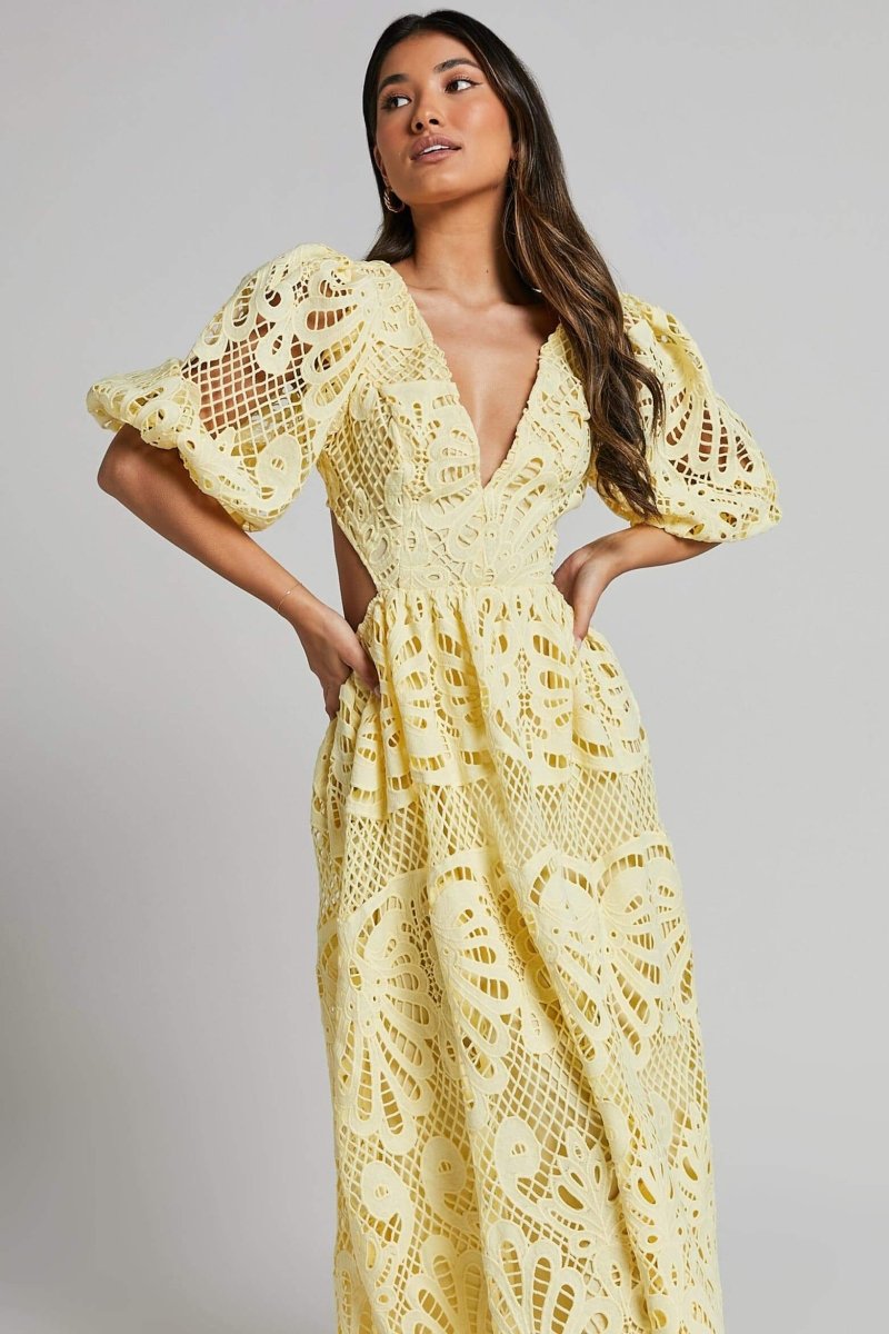 Sandra Embroidered Lace Cut out Midi Dress