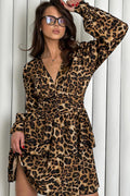 Leopard Print V Neck Ruffle Mini Dress