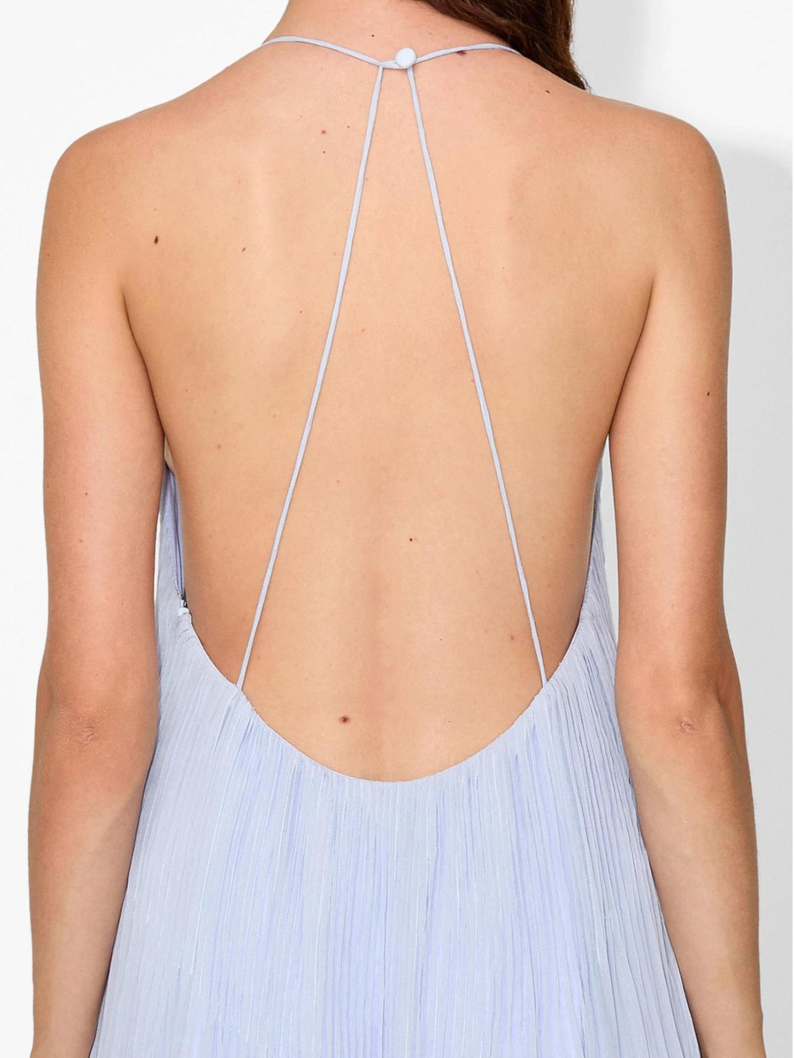 Haydin Maxi Dress Hydrangea