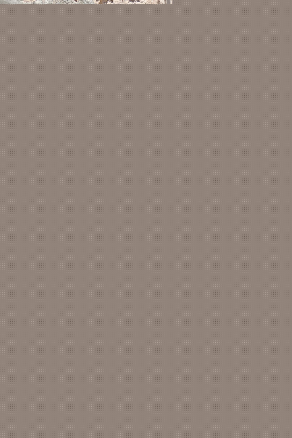 Sleeveless Camisole Gown Backless Dress