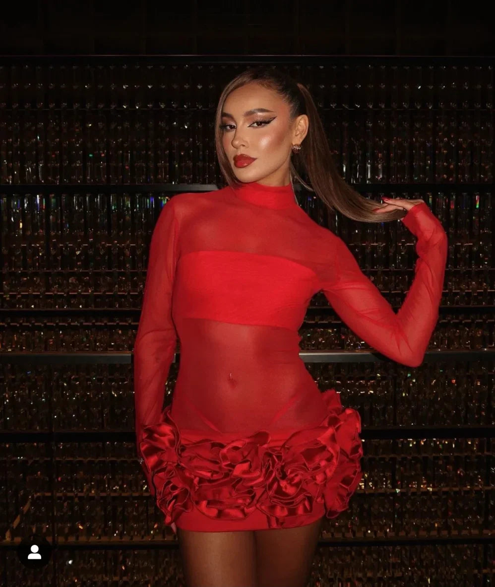 Women Long Sleeve Sexy Mesh See Through Florals Ball Gown Mini Bandage Dress Nightclub Party Celebrate Performance Stage Wear