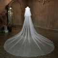 300cm Long Bridal Veil Lace Wedding Veils For Evening Dinner Party Dress Women Girl Gift Hair Accessories Brides Jewelry a