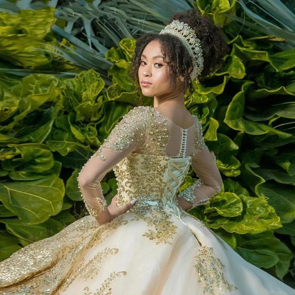 Customized  Gold Appliques Quinceanera Dresses Vestidos De 15 Anos Ball Gown Formal Birthday Party Prom Gown Corset