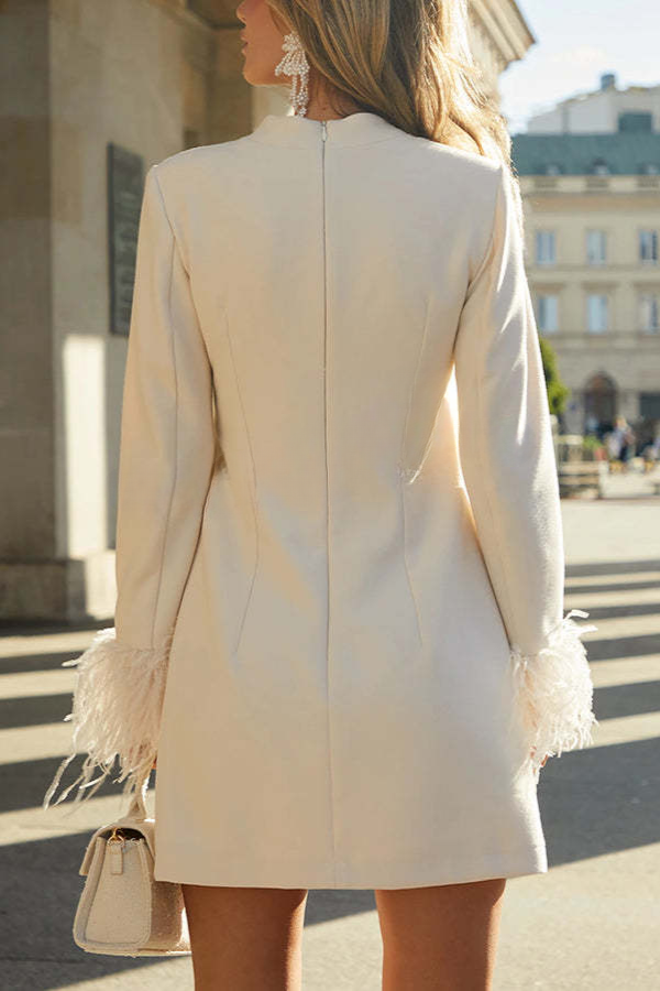 Emilia Feather Trim Long Sleeve H line Mini Dress
