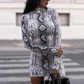 Serpentine Print Turtleneck Long Sleeve Party Dresses For Women Streetwear Fashion Snake Graphic Bodycon Dress Robe